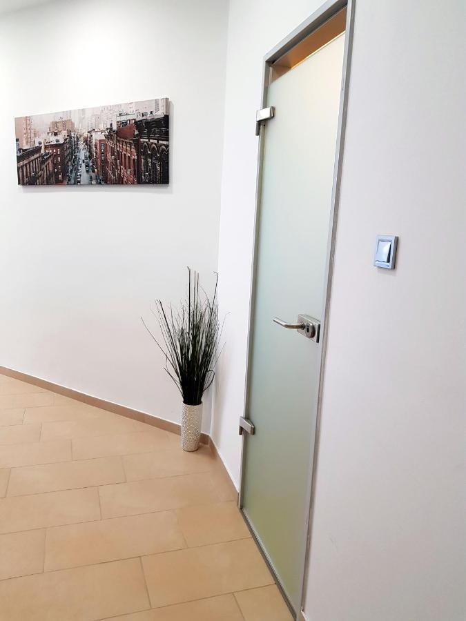 Luxurious Apartment With Balconies In Downtown Bp Budapeszt Zewnętrze zdjęcie